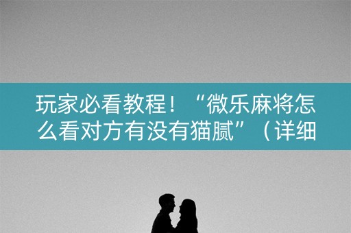 玩家必看教程！“微乐麻将怎么看对方有没有猫腻”（详细开挂教程）-哔哩哔哩