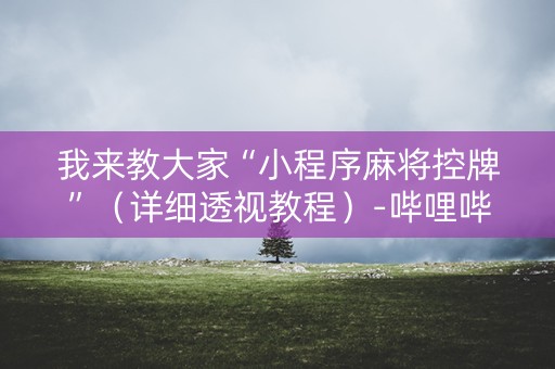 我来教大家“小程序麻将控牌”（详细透视教程）-哔哩哔哩