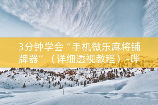 3分钟学会“手机微乐麻将铺牌器”（详细透视教程）-哔哩哔哩