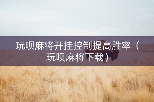 玩呗麻将开挂控制提高胜率（玩呗麻将下载）