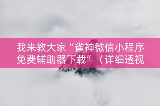 我来教大家“雀神微信小程序免费辅助器下载”（详细透视教程）-哔哩哔哩