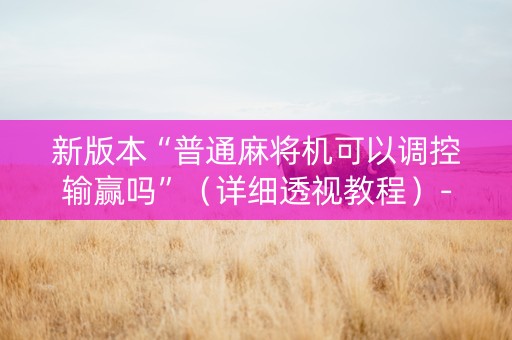 新版本“普通麻将机可以调控输赢吗”（详细透视教程）-哔哩哔哩