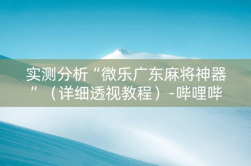 实测分析“微乐广东麻将神器”（详细透视教程）-哔哩哔哩