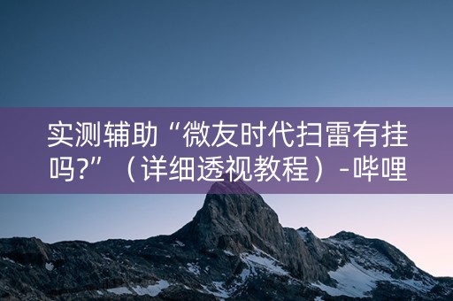 实测辅助“微友时代扫雷有挂吗?”（详细透视教程）-哔哩哔哩
