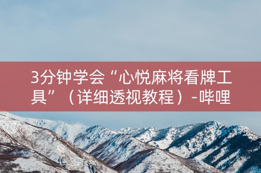 3分钟学会“心悦麻将看牌工具”（详细透视教程）-哔哩哔哩