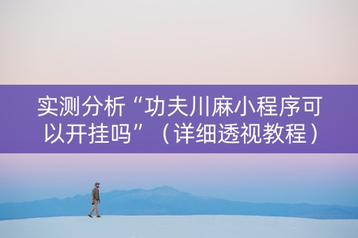 实测分析“功夫川麻小程序可以开挂吗”（详细透视教程）-哔哩哔哩