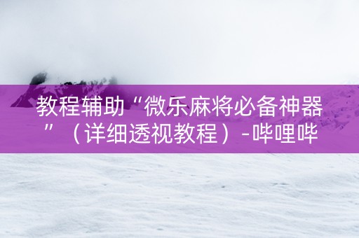 教程辅助“微乐麻将必备神器”（详细透视教程）-哔哩哔哩