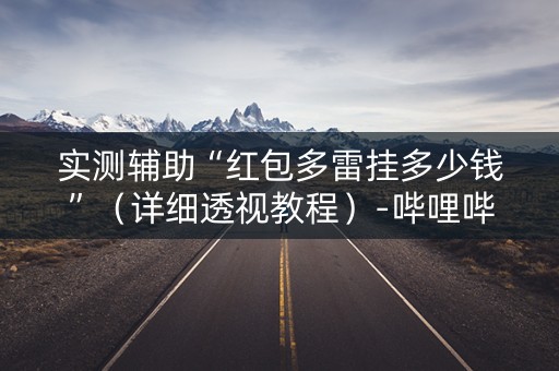 实测辅助“红包多雷挂多少钱”（详细透视教程）-哔哩哔哩