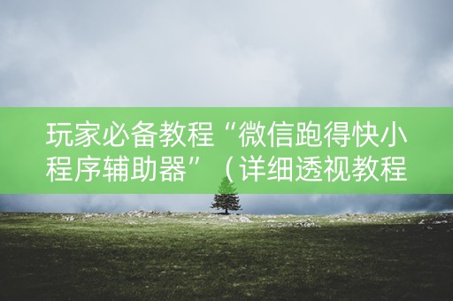 玩家必备教程“微信跑得快小程序辅助器”（详细透视教程）-哔哩哔哩