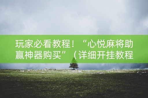 玩家必看教程！“心悦麻将助赢神器购买”（详细开挂教程）-哔哩哔哩