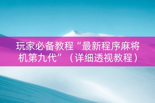 玩家必备教程“最新程序麻将机第九代”（详细透视教程）-哔哩哔哩