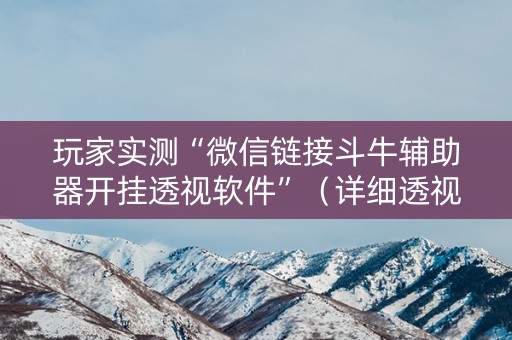 玩家实测“微信链接斗牛辅助器开挂透视软件”（详细透视教程）-哔哩哔哩