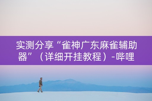 实测分享“雀神广东麻雀辅助器”（详细开挂教程）-哔哩哔哩