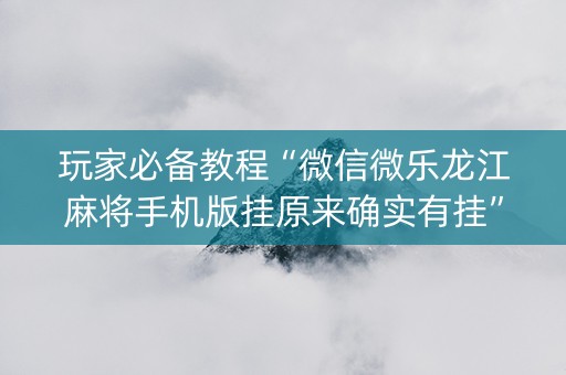 玩家必备教程“微信微乐龙江麻将手机版挂原来确实有挂”！详细开挂教程（确实真的有挂)-知乎