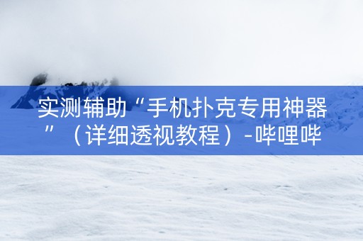 实测辅助“手机扑克专用神器”（详细透视教程）-哔哩哔哩