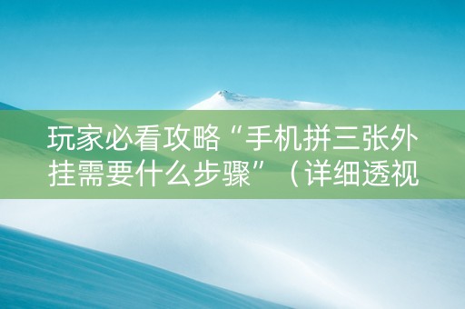玩家必看攻略“手机拼三张外挂需要什么步骤”（详细透视教程）-哔哩哔哩