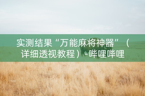 实测结果“万能麻将神器”（详细透视教程）-哔哩哔哩