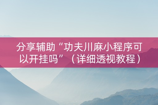 分享辅助“功夫川麻小程序可以开挂吗”（详细透视教程）-哔哩哔哩