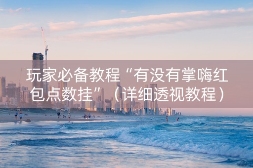 玩家必备教程“有没有掌嗨红包点数挂”（详细透视教程）-哔哩哔哩