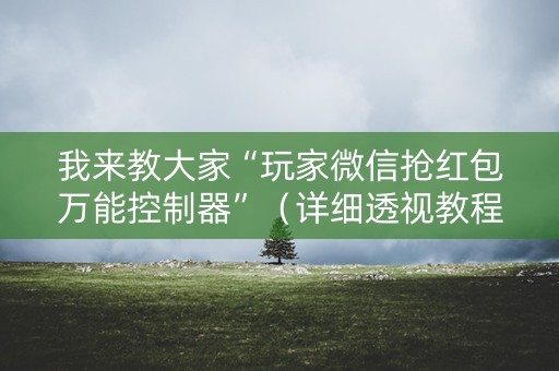 我来教大家“玩家微信抢红包万能控制器”（详细透视教程）-哔哩哔哩