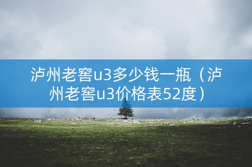 泸州老窖u3多少钱一瓶（泸州老窖u3价格表52度）