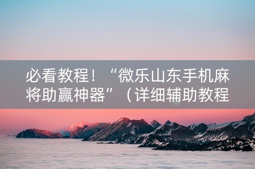 必看教程！“微乐山东手机麻将助赢神器”（详细辅助教程）-哔哩哔哩