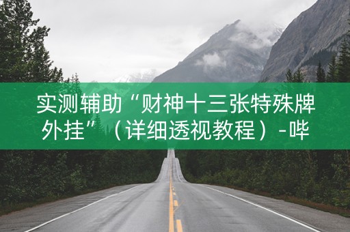 实测辅助“财神十三张特殊牌外挂”（详细透视教程）-哔哩哔哩