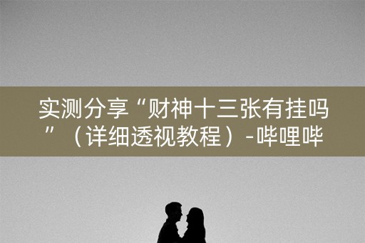 实测分享“财神十三张有挂吗”（详细透视教程）-哔哩哔哩