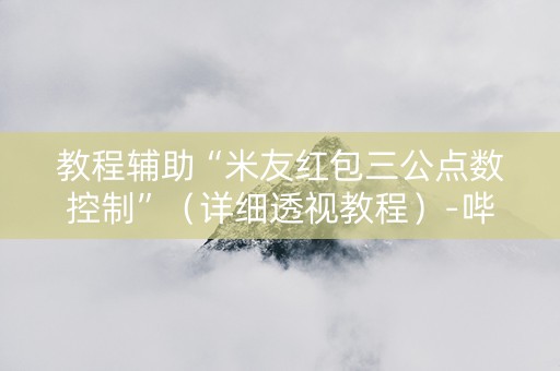 教程辅助“米友红包三公点数控制”（详细透视教程）-哔哩哔哩