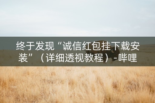 终于发现“诚信红包挂下载安装”（详细透视教程）-哔哩哔哩