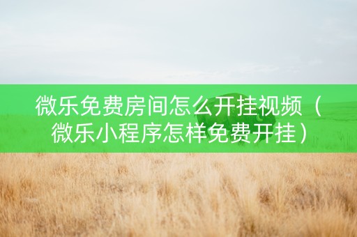 微乐免费房间怎么开挂视频（微乐小程序怎样免费开挂）
