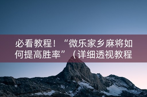 必看教程！“微乐家乡麻将如何提高胜率”（详细透视教程）-哔哩哔哩