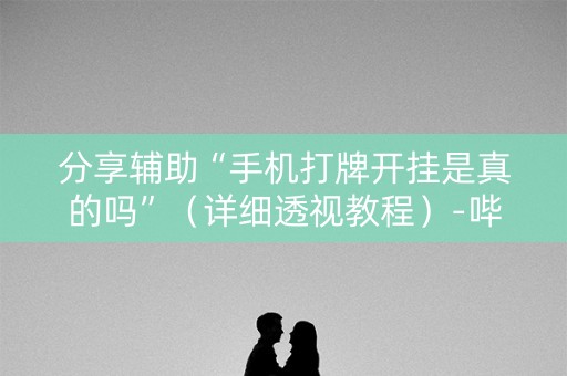 分享辅助“手机打牌开挂是真的吗”（详细透视教程）-哔哩哔哩