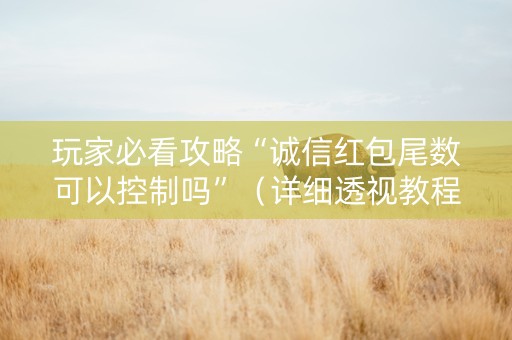 玩家必看攻略“诚信红包尾数可以控制吗”（详细透视教程）-哔哩哔哩