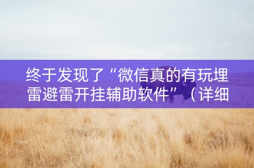 终于发现了“微信真的有玩埋雷避雷开挂辅助软件”（详细透视教程）-哔哩哔哩