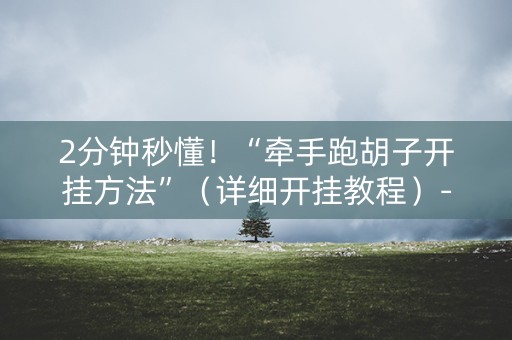 2分钟秒懂！“牵手跑胡子开挂方法”（详细开挂教程）-哔哩哔哩