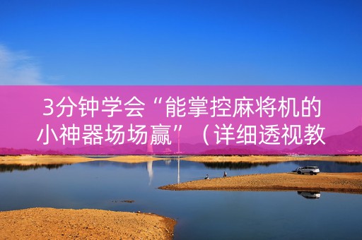 3分钟学会“能掌控麻将机的小神器场场赢”（详细透视教程）-哔哩哔哩