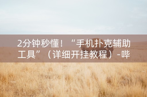 2分钟秒懂！“手机扑克辅助工具”（详细开挂教程）-哔哩哔哩