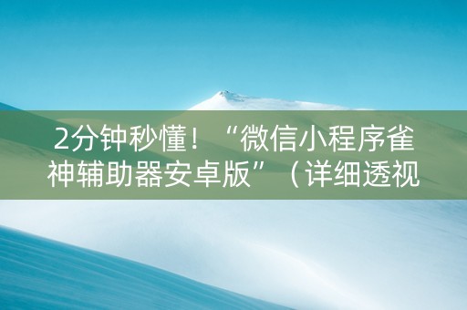 2分钟秒懂！“微信小程序雀神辅助器安卓版”（详细透视教程）-哔哩哔哩