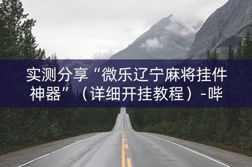 实测分享“微乐辽宁麻将挂件神器”（详细开挂教程）-哔哩哔哩