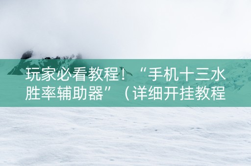 玩家必看教程！“手机十三水胜率辅助器”（详细开挂教程）-哔哩哔哩