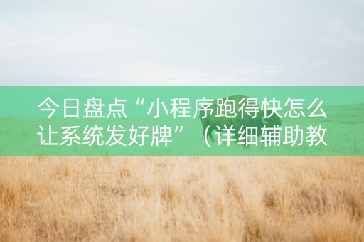 今日盘点“小程序跑得快怎么让系统发好牌”（详细辅助教程）-哔哩哔哩