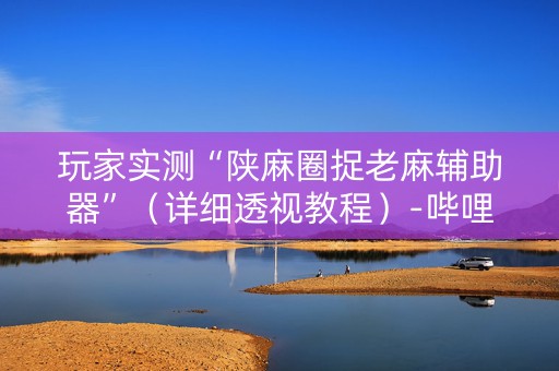 玩家实测“陕麻圈捉老麻辅助器”（详细透视教程）-哔哩哔哩