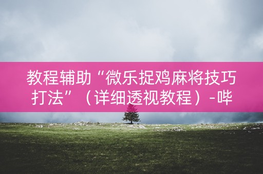 教程辅助“微乐捉鸡麻将技巧打法”（详细透视教程）-哔哩哔哩