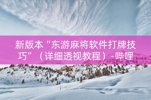 新版本“东游麻将软件打牌技巧”（详细透视教程）-哔哩哔哩