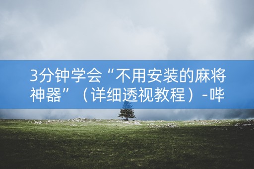 3分钟学会“不用安装的麻将神器”（详细透视教程）-哔哩哔哩