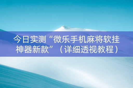 今日实测“微乐手机麻将软挂神器新款”（详细透视教程）-哔哩哔哩