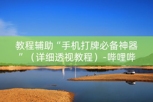 教程辅助“手机打牌必备神器”（详细透视教程）-哔哩哔哩