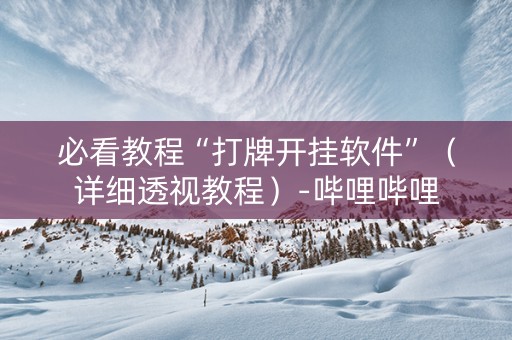 必看教程“打牌开挂软件”（详细透视教程）-哔哩哔哩