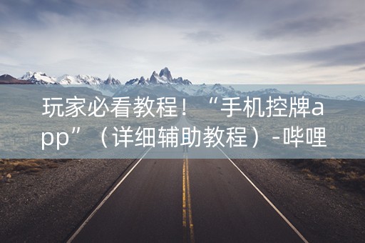 玩家必看教程！“手机控牌app”（详细辅助教程）-哔哩哔哩